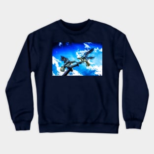 Buzzards Fighting In Flight Crewneck Sweatshirt